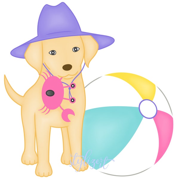 Kids Beachball PNG | Sublimation Designs Downloads | Summer PNG | Labrador Puppy PNG