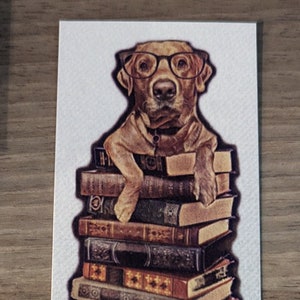 Fox Red Labrador Bookmark