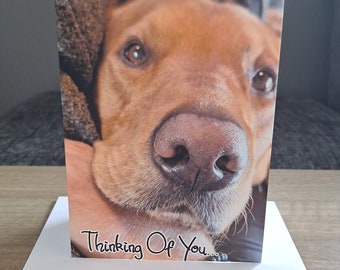 Fox Red Labrador Thinking Of You card