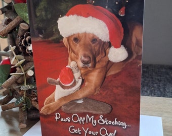 Fox Red Labrador Christmas Card