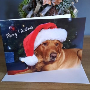 Fox Red Labrador Christmas Card