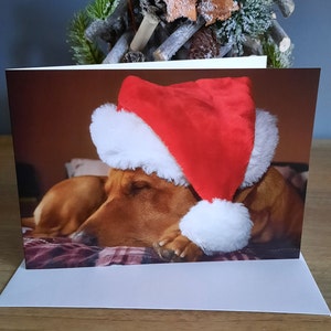 Fox Red Labrador Christmas Card