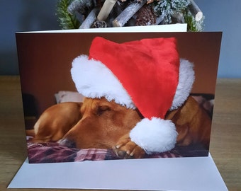 Fox Red Labrador Christmas Card