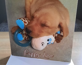 Fox Red Labrador New Puppy Card