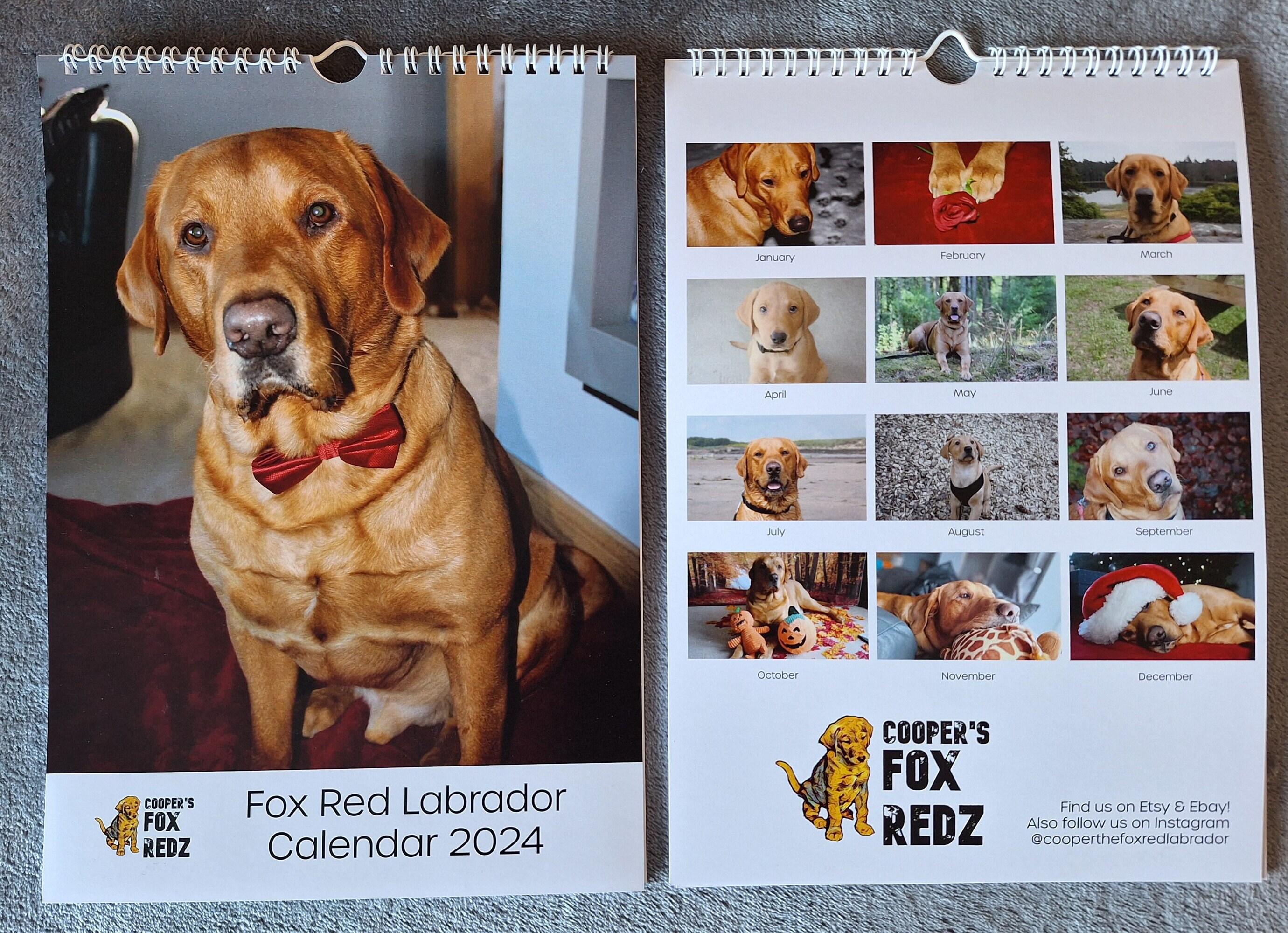 Fox Red Labrador 2024 Calendar - Etsy