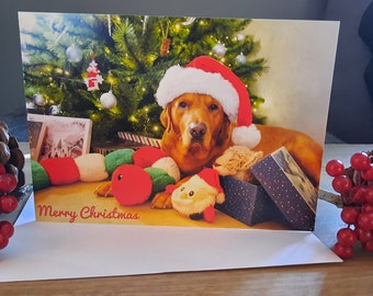 Fox Red Labrador Christmas Card