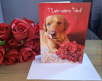 Fox Red Labrador Valentines Day/Anniversary Card