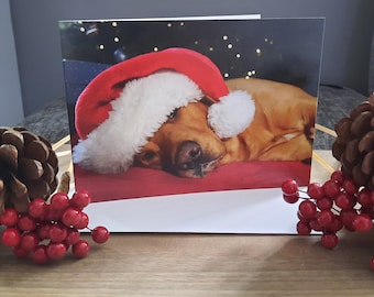 Personalised Fox Red Labrador Christmas Card - Etsy