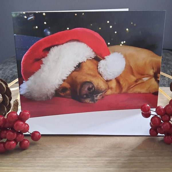 Fox Red Labrador Christmas Card