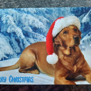 Fox Red Labrador Christmas Card