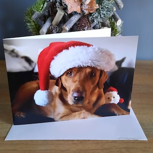 Fox Red Labrador Christmas Card