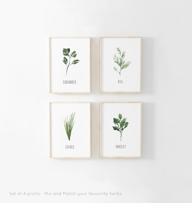 Kitchen Herb Prints, Set of 3, Watercolour Herbs, Home Prints, Greenery ...