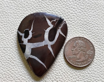May include: A brown and white agate guitar pick with a white vein pattern. The pick is about the size of a US quarter.