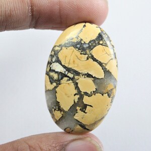 May include: A yellow and black oval cabochon gemstone with a unique pattern. The stone is smooth and polished.