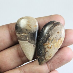 Plum Wood Jasper Gemstone ,natural Plum Wood Jasper Cabochon