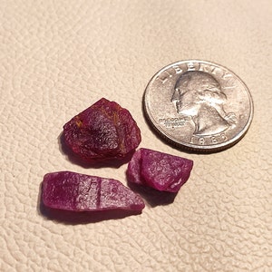 Può includere: Quattro piccole pietre preziose di rubino rosa di forma irregolare. Le pietre preziose sono su una superficie bianca accanto a una moneta da un quarto di dollaro americano d'argento.