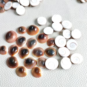 Top Shiva Eye Shell Natural Fossil Domed Coin Healing Stone For Protection Against Evil and Enhance Creativity Round Shape Shiva Eye Stone