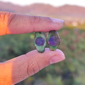 May include: Two raw, uncut gemstones are held between fingers. Each stone has a green exterior with a central, oval-shaped, deep purple center. The background is blurred, with a soft focus on the natural landscape.
