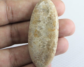 71Ct Oval Smooth Natural Fossil Coral Cabochon Gemstone Handmade Fossil Coral Semi Presiouse Fossil Coral Making Pendant Loose Gemstone A5