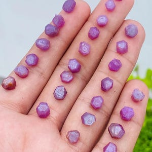 Puede incluir: Una colección de pequeñas gemas de rubí en bruto en varios tonos de rosa y púrpura. Las gemas tienen una textura natural rugosa y se muestran sobre un fondo claro. Las gemas miden unos pocos milímetros.