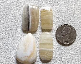 May include: Four natural stone cabochons in various shapes and sizes. The stones are a light beige color with white and gray banding. The stones are arranged on a white textured surface. A US quarter is included for scale.