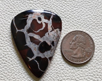 May include: A black and white dendritic agate cabochon in the shape of a guitar pick. The agate has a unique pattern of white dendrites on a black background. The cabochon is about the size of a US quarter.