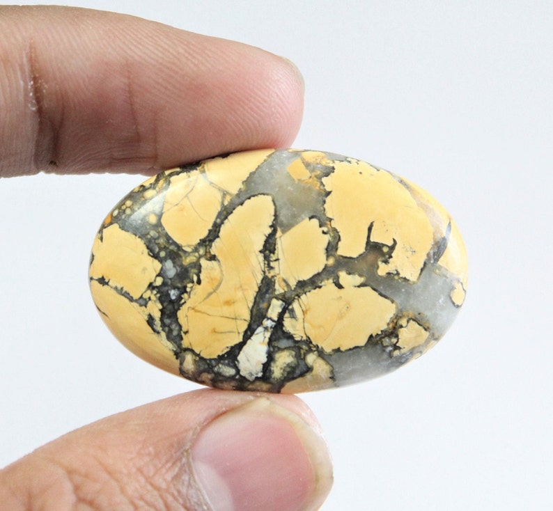 May include: A yellow and brown oval cabochon gemstone with a unique pattern of black and white veins. The stone is smooth and polished.