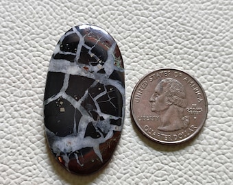 Op de afbeelding: Een ovale cabochon edelsteen met een gebarsten patroon in zwart en wit en gouden vlekken. De edelsteen is ongeveer zo groot als een Amerikaanse kwart.