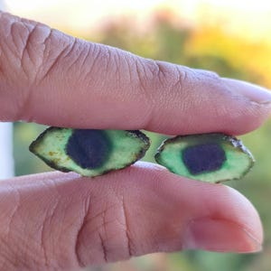 2 Stuks Zeldzame Mooie Watermeloen Robijn 100% Natuurlijke Aarde Gemijnde Robijn Ruwe Plak Natuurlijke Vorm Robijn Ruwe Voor Het Maken Van Sieraden Korund