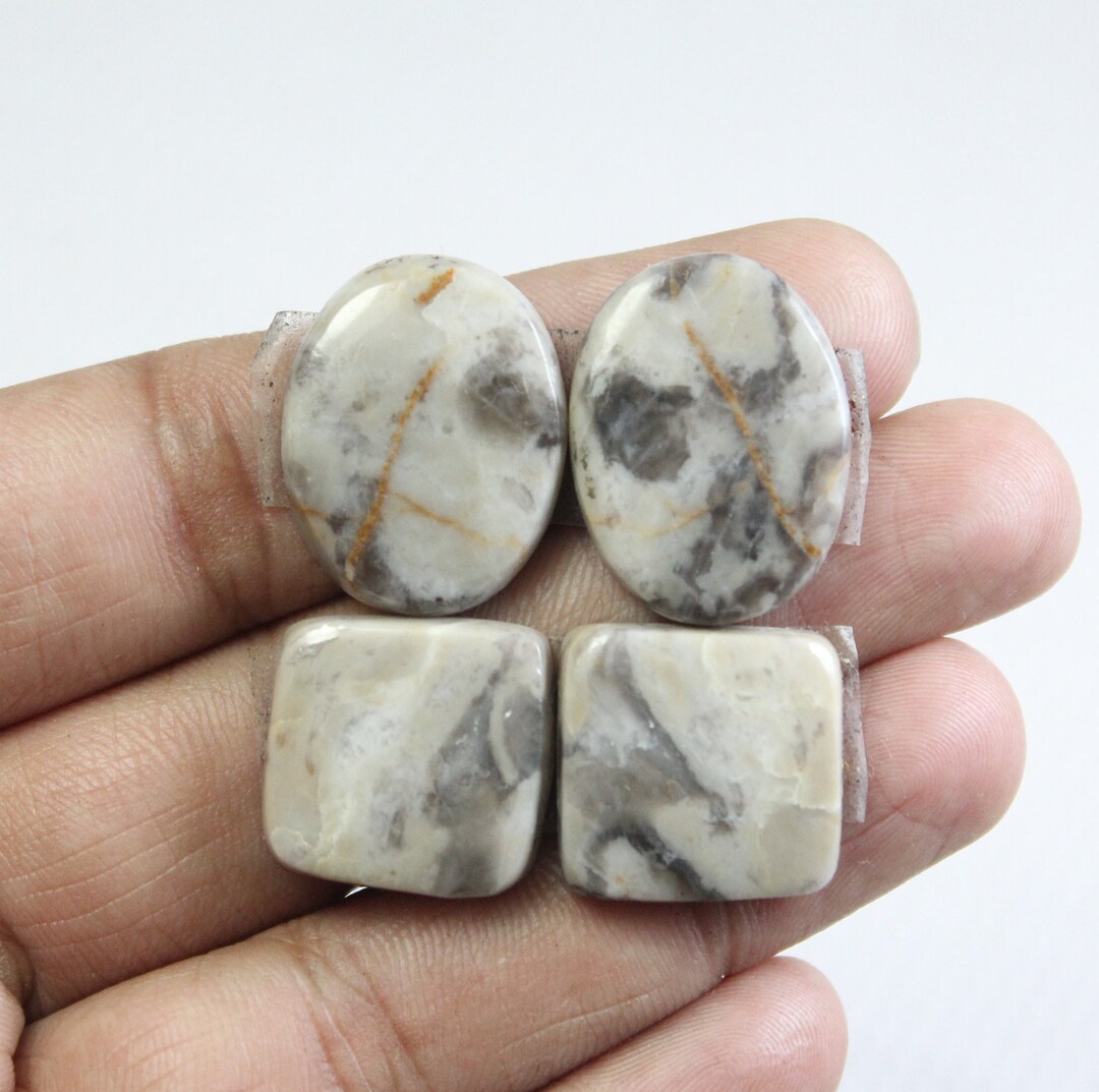 2ペア天然磁器ジャスパー 磁器ジャスパーペアカボション エキゾチカ