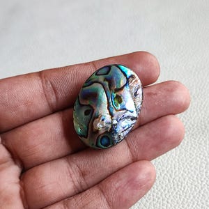 Puede incluir: Una concha de abulón ovalada con colores iridiscentes de azul, verde y morado. La concha tiene una superficie texturizada y un aspecto natural y orgánico. La concha se sostiene en una mano.