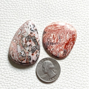2Pcs Natural Leopard Skin Jasper Cabochon Big Leopard Skin Jasper Lot Cabochon Smooth Polished Leopard Skin Jasper Stone For Jewelry L15