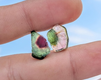 2Pcs Natural Bio Tourmaline Slice Raw Earth Mined Natural Shape Tourmaline Slice Rough For Making Jewelry