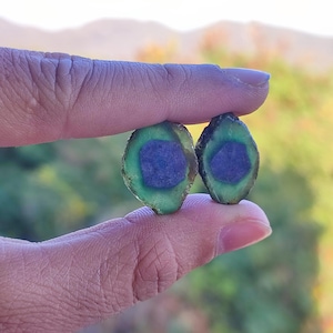 May include: Two oval-shaped gemstones with a vibrant green outer layer and a deep blue center. The gemstones are held between fingers, showcasing their natural, organic shapes and colors. The background is blurred, suggesting an outdoor setting.