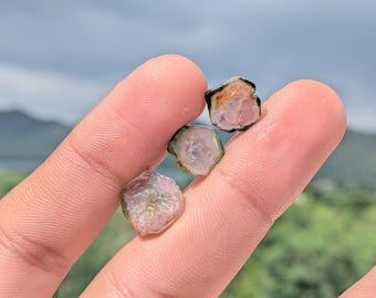 3Pcs Natural Bio Tourmaline Slice Raw Earth Mined Natural Shape Tourmaline Slice Rough For Making Jewelry Full Lot