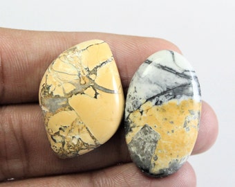 Forma de mezcla 2pcs Natural Maligano Jasper Cabochon Maligano Jasper Piedra preciosa de alta calidad Maligano Jasper Lote Maligano Jasper Piedra Suelta M22