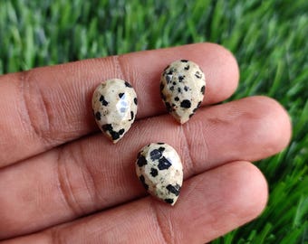 3Pcs Natural Dalmation Jasper Faceted Cabochon Same Size & Shape Dalmation Faceted Flat Back Cabochon Dalmation Jasper Gemstone For Jewelry