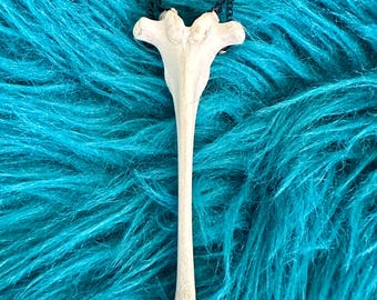 Collar único de hueso real: de origen ético