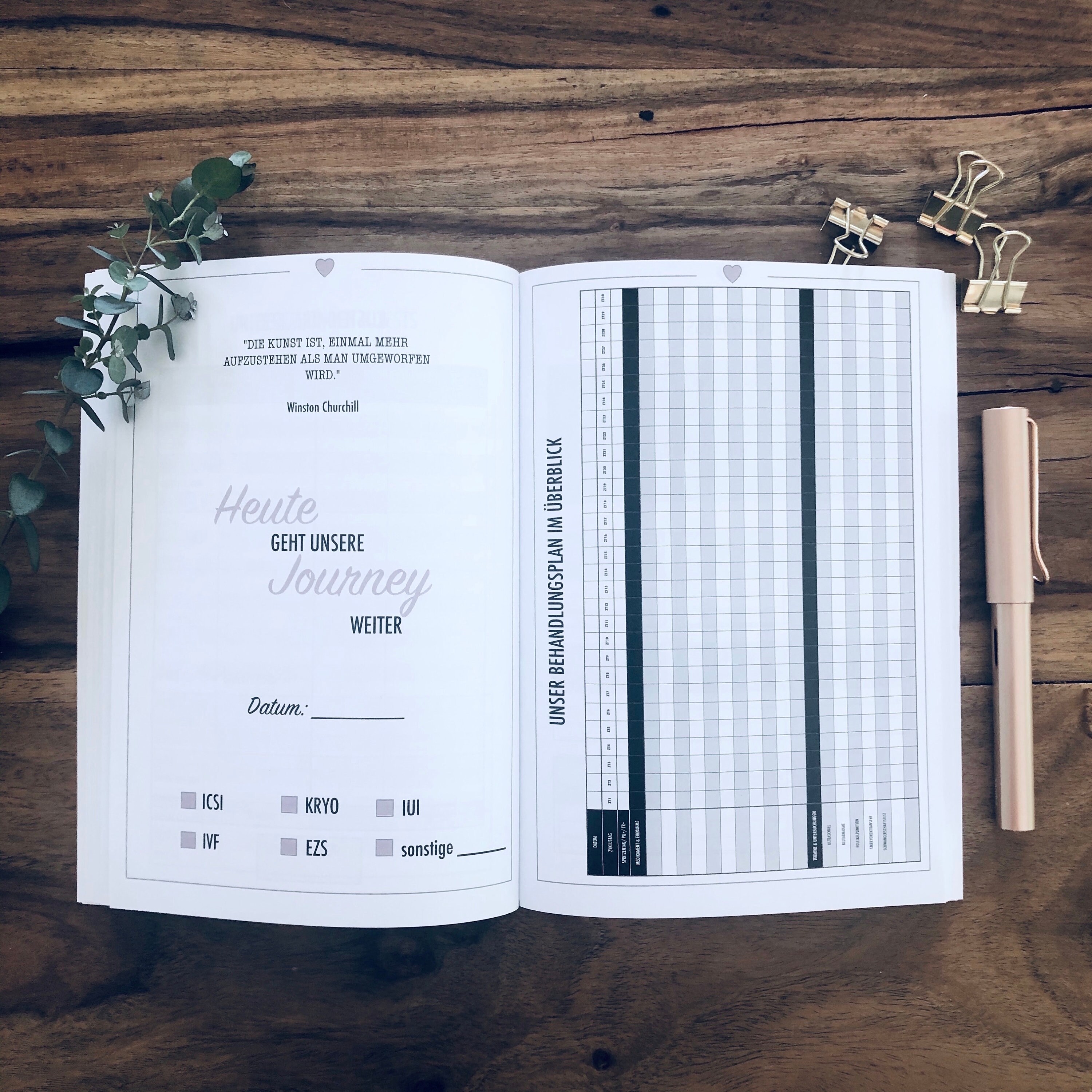 Kinderwunsch ICSI I IVF / Planer I Journal I Buch I Kalender I  Etsy