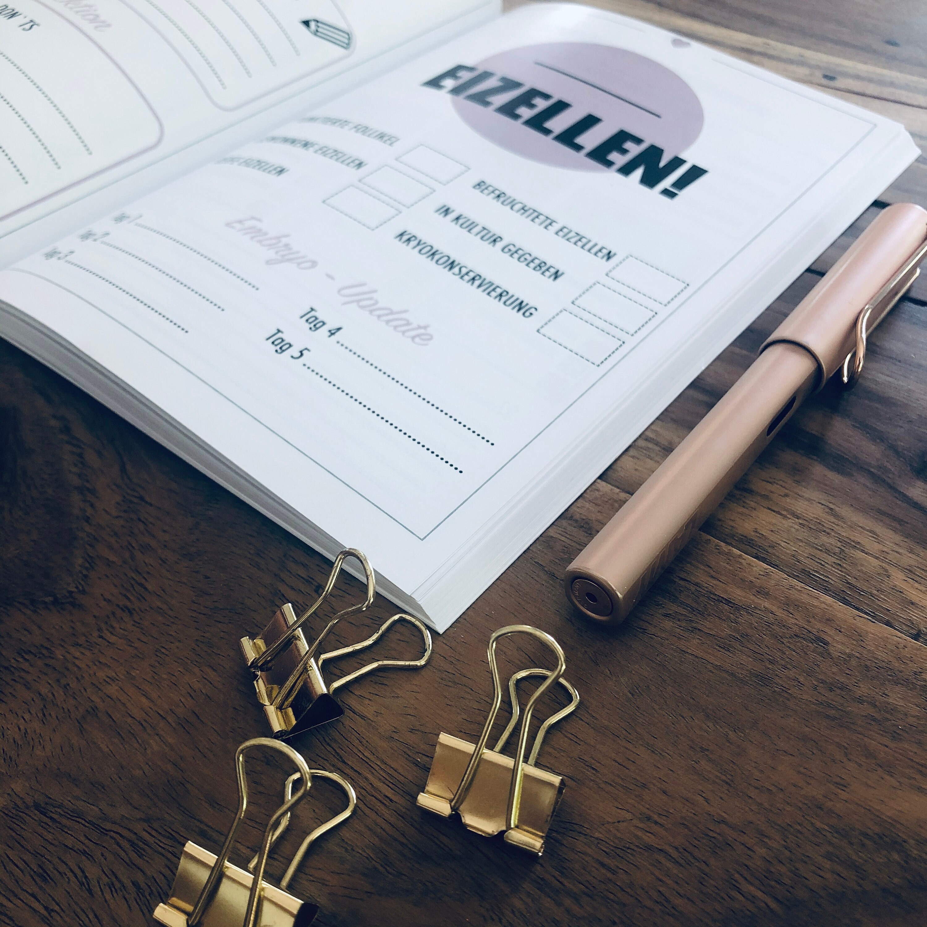 Kinderwunsch ICSI I IVF / Planer I Journal I Buch I Kalender I  Etsy