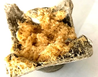 Sawdust Firestarter, outdoor use, campfires, fire pits