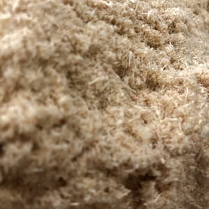 May include: A close-up of a pile of wood shavings. The shavings are light brown and have a soft, fluffy texture.