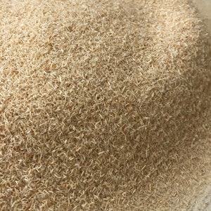 May include: A close-up of a pile of light brown wood shavings. The shavings are very fine and appear to be made from softwood.
