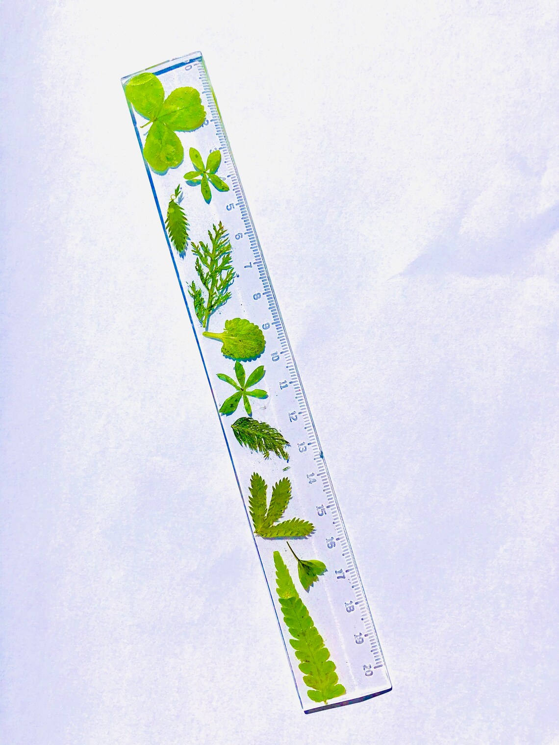 Handmade Resin Ruler with real dried handpicked flowers | Etsy