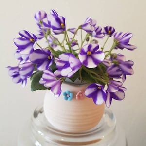 May include: A close-up of a potted African violet plant. The flowers have a striking purple and white striped pattern, with yellow centres. The small, round, light pink pot is decorated with blue and pink flower accents.