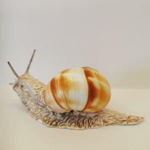 Snail, snail, decoration