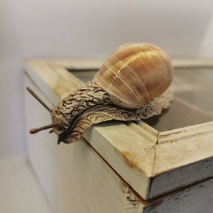 Snail, handmade, decoration, vineyard snail