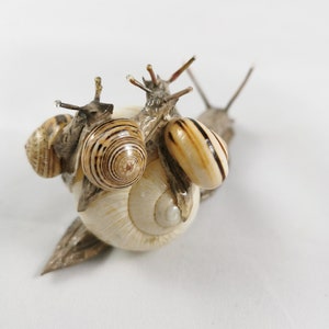 Snail, handmade, decoration, snail