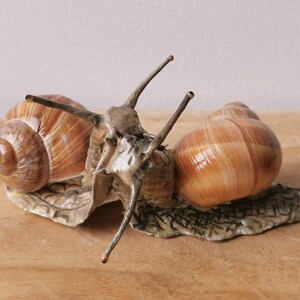 snail, snail, decoration