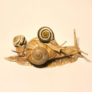 Snail, snail, decoration